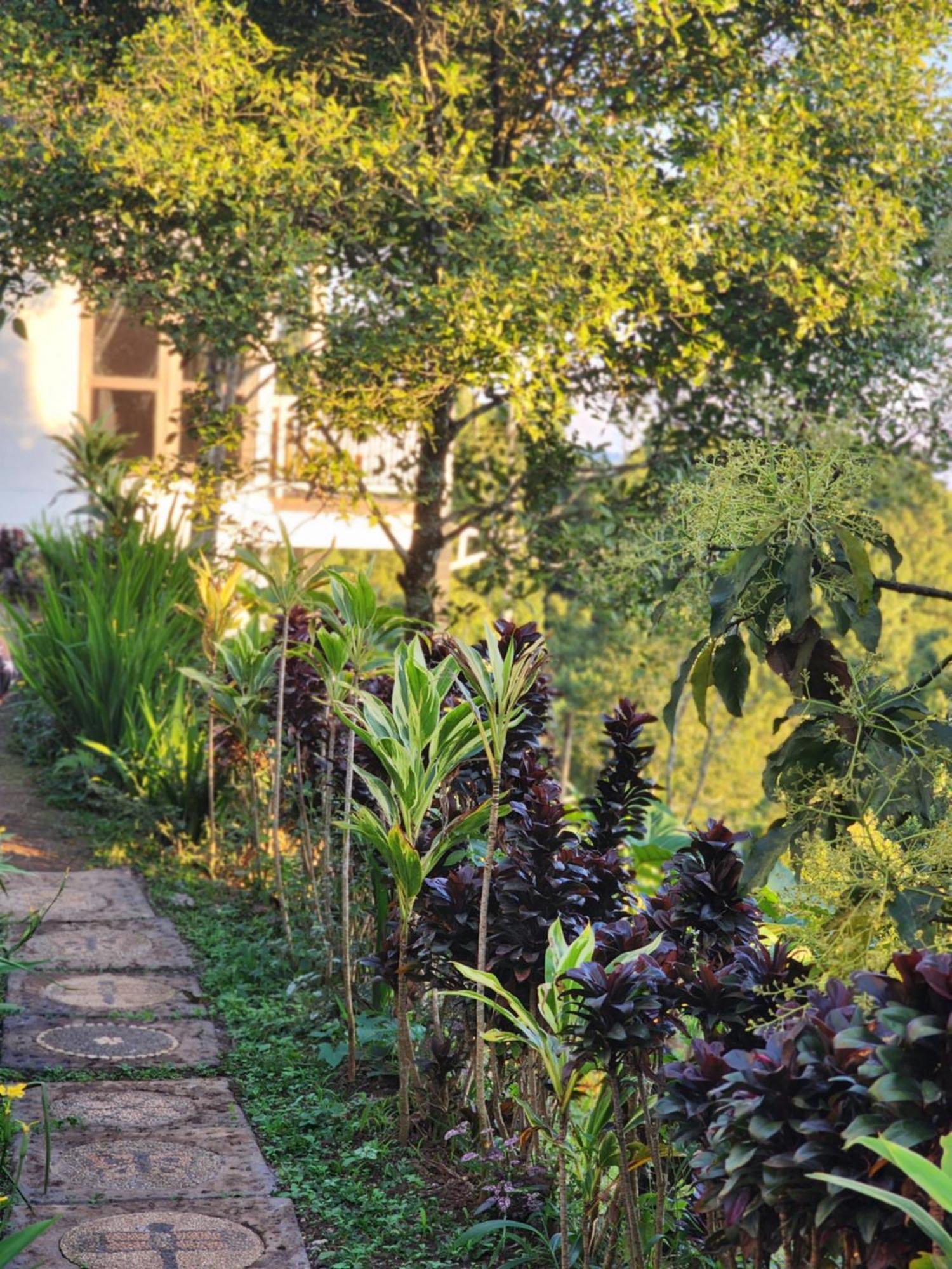 De La Sierra Apartment Munduk  Ngoại thất bức ảnh